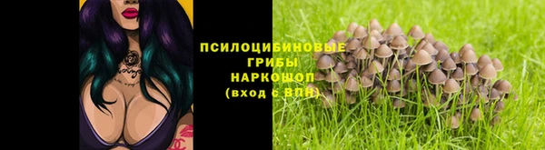 спиды Гусев