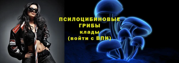 apvp Гусиноозёрск