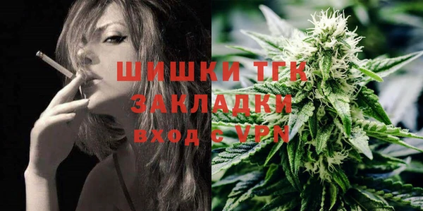 спиды Гусев