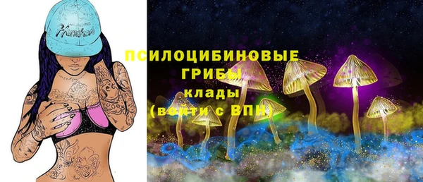 а пвп мука Дмитровск