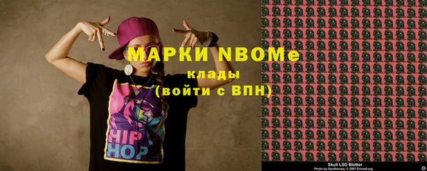 apvp Гусиноозёрск
