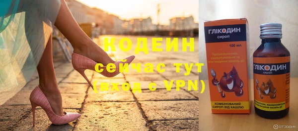 apvp Гусиноозёрск