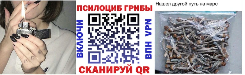 Купить где  Армянск  Псилоцибиновые грибы мицелий 